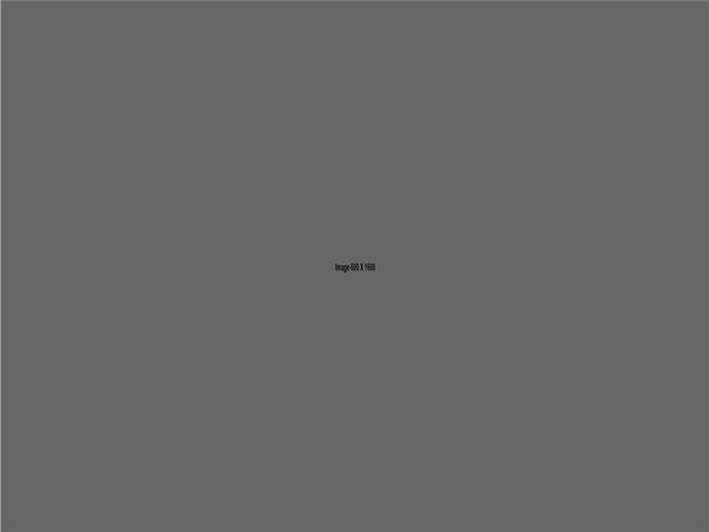 Website Accessibility